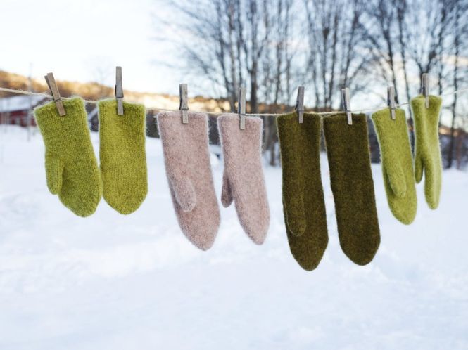 Hovedbilde Tova votter Vams