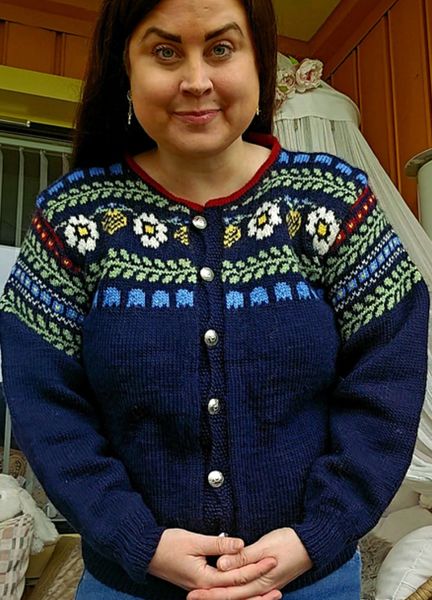 Hovedbilde Lofoten Festkofte ...