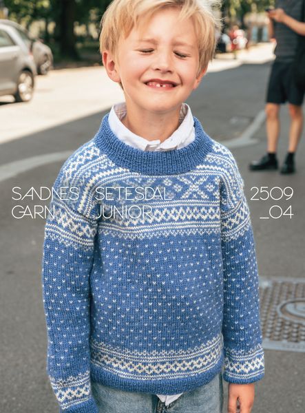Hovedbilde 2509 Nr. 4 - Setesdal genser ...